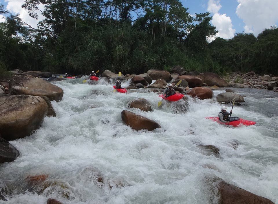 A group of five kayakers going through white water rapids.