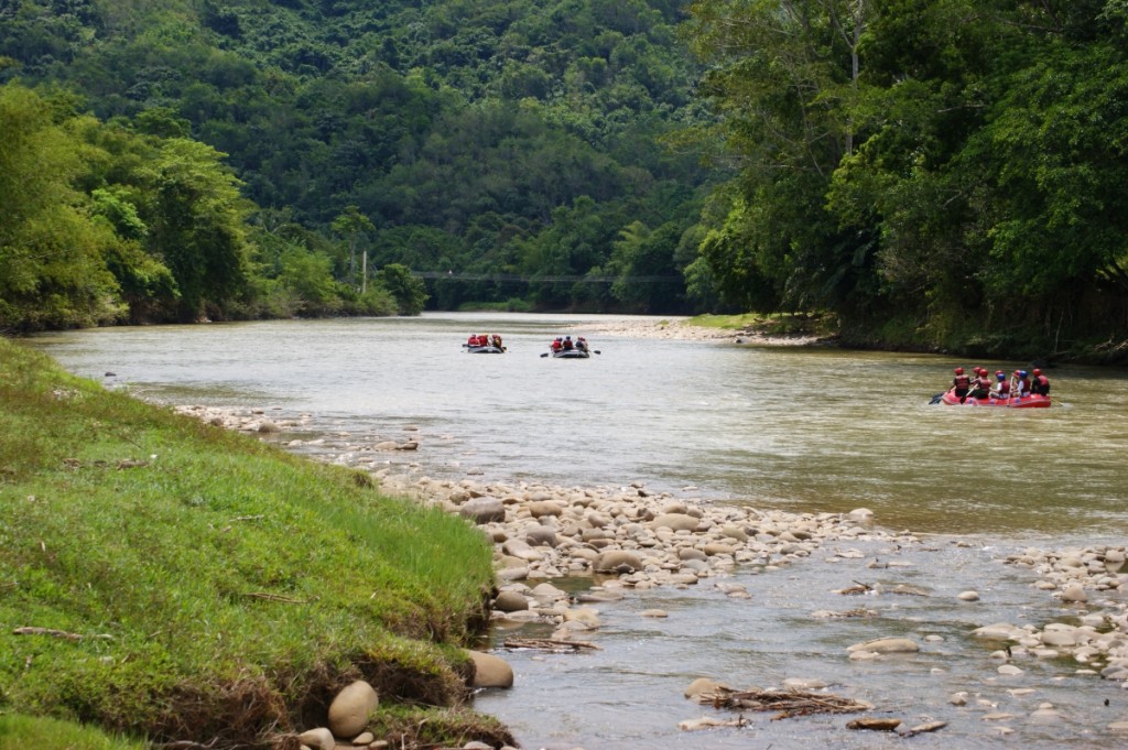 A group of three rafts paddle down a Class 1 river on a rafting trip on the Amazon river.