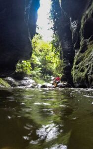 Jungle Trek and Waterfall Caves Tena Ecuador